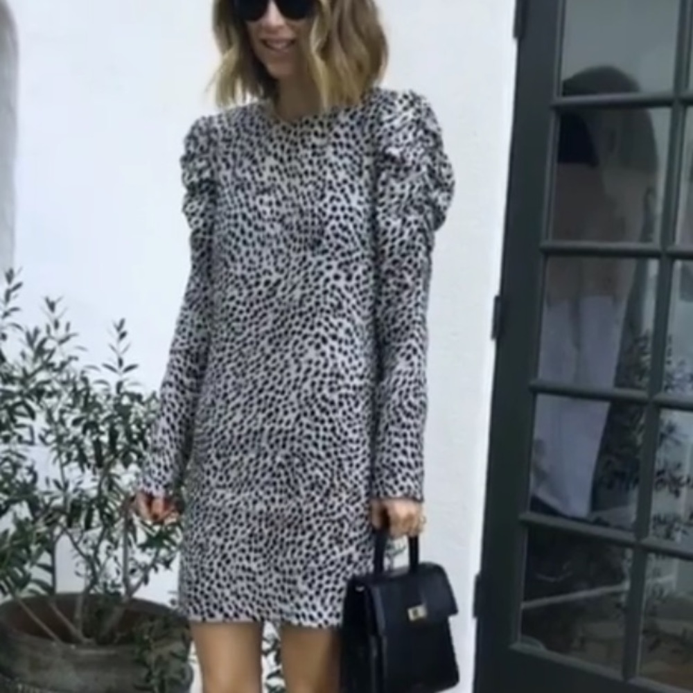 Anine Bing Leopard Print Mini Dress